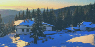 хижа "При старата мечка"