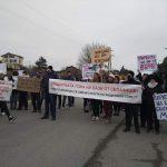 Протест срещу изсичането на гората