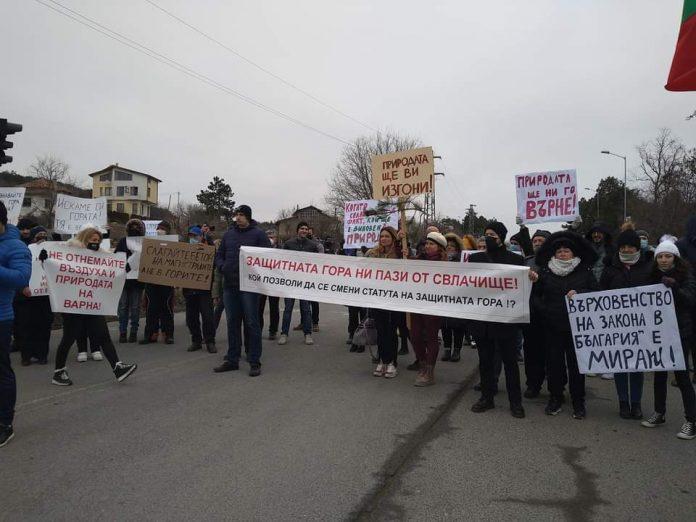 Протест срещу изсичането на гората