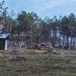 Сеч при къмпинг край Черноморец