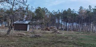 Сеч при къмпинг край Черноморец