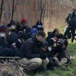 Трафик на хора