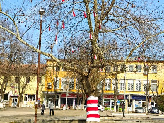 Украса в Кубрат