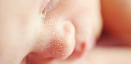 Бебе. бебета