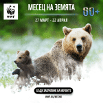 Часът на Земята