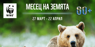 Часът на Земята