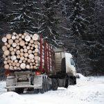 Дърводобив