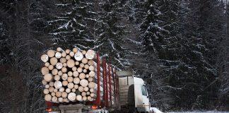 Дърводобив