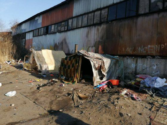 Разчистване на катуни