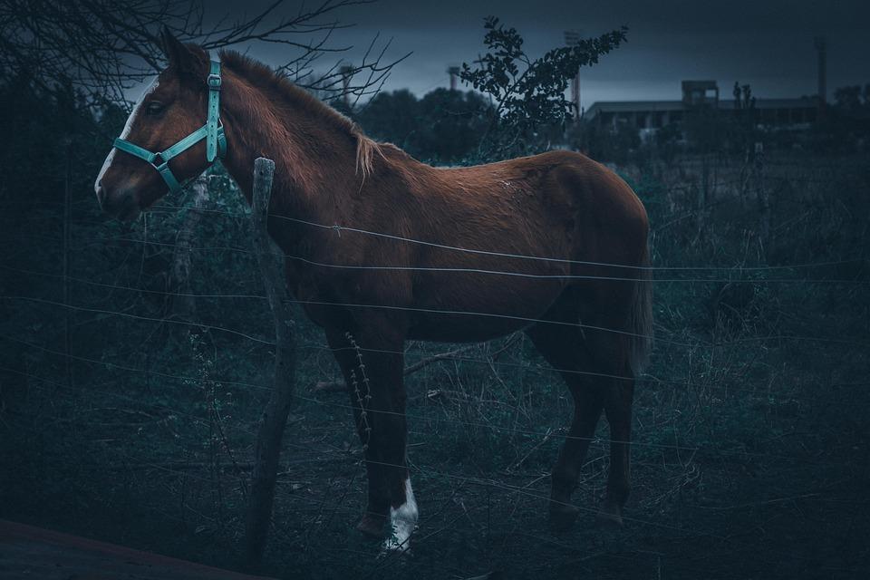Две пътни произшествия са възникнали в края на миналата седмица