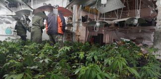 Лаборатория за марихуана