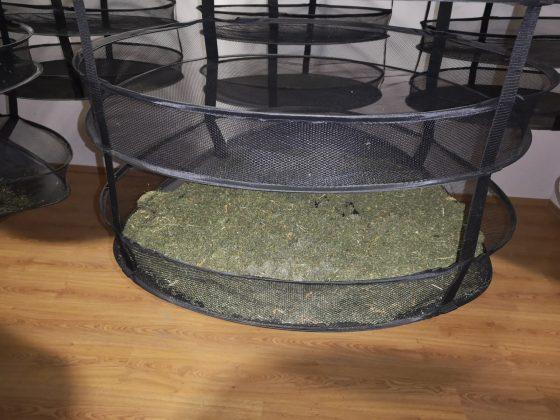 Лаборатория за марихуана