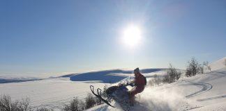 Моторна шейна