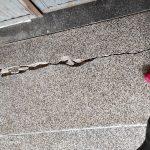 Общинско жилище