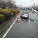 Прасе в Бургас