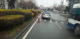 Прасе в Бургас