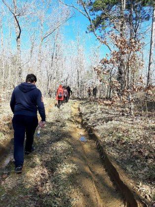 Унищожена пътека и сеч в гората