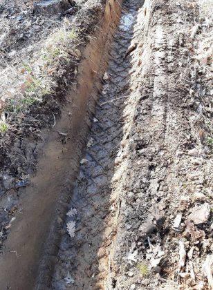 Унищожена пътека и сеч в гората