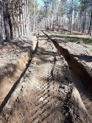 Унищожена пътека и сеч в гората