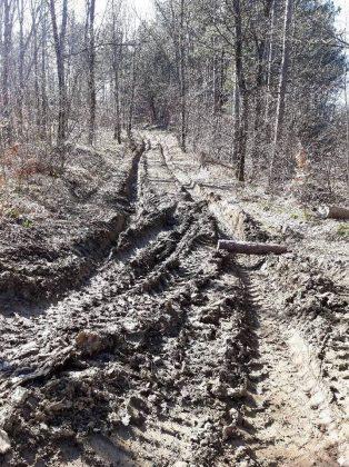 Унищожена пътека и сеч в гората