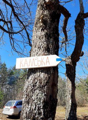 Унищожена пътека и сеч в гората