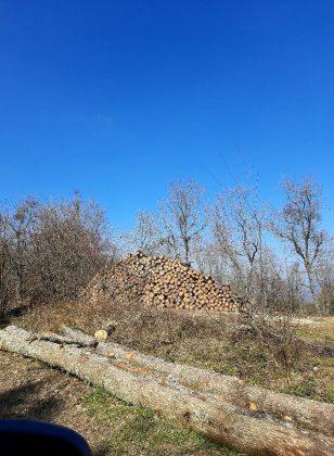 Унищожена пътека и сеч в гората