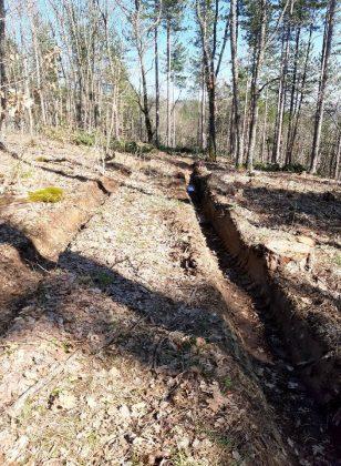 Унищожена пътека и сеч в гората