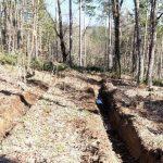 Унищожена пътека и сеч в гората