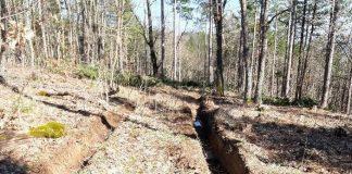 Унищожена пътека и сеч в гората