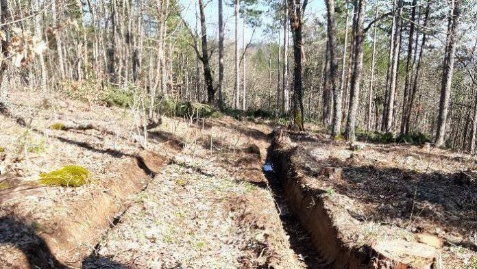 Унищожена пътека и сеч в гората