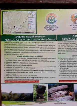 Унищожена пътека и сеч в гората