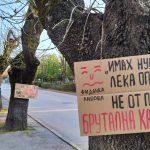 Дървета в Хасково