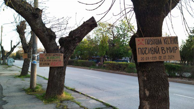 Дървета в Хасково