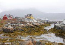 Гренландия