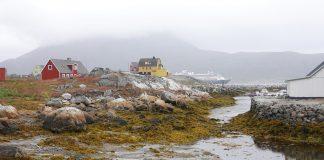 Гренландия