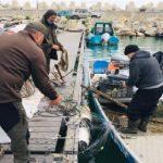 Мрежи за калкан