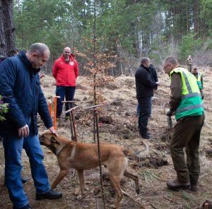 Инициатива на президента