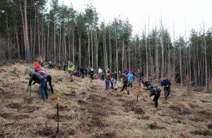 Инициатива на президента