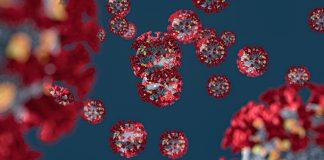 Коронавирус