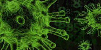 Коронавирус