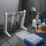 Лаборатория, PCR тест, коронавирус