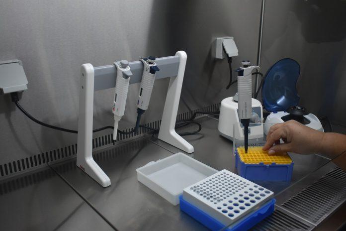 Лаборатория, PCR тест, коронавирус