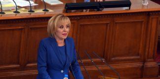 Мая Манолова в НС