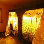 Нарколаборатория