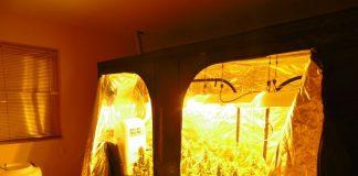 Нарколаборатория