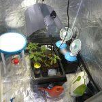 Нарколаборатория