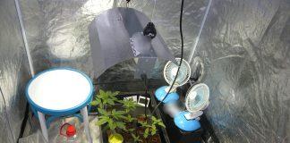 Нарколаборатория