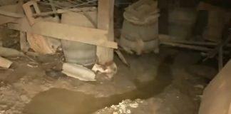 Наводнена маза