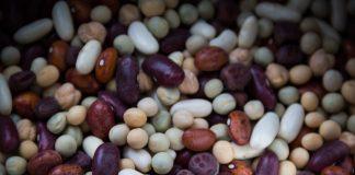 Протеинови култури