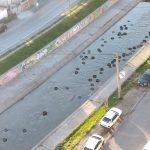 р. Слатинска